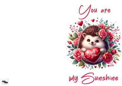 Valentinskarte mit Umschlag – Süßer Igel „You are my Sunshine“ – Romantische Liebeskarte zum Valentinstag,Jahrestag herzliche Aufmerksamkeit